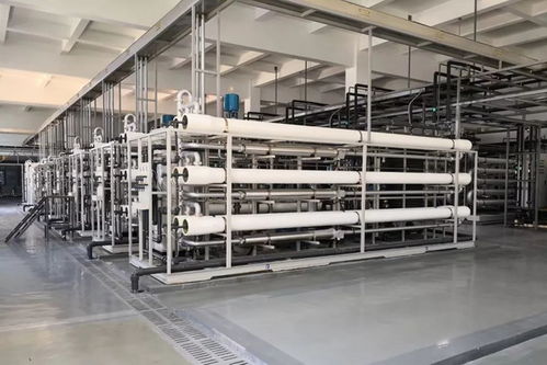 長沙固體廢棄物垃圾處理廠污水日處理總規模3700立方與羊肚菌滅菌器的環保協同應用